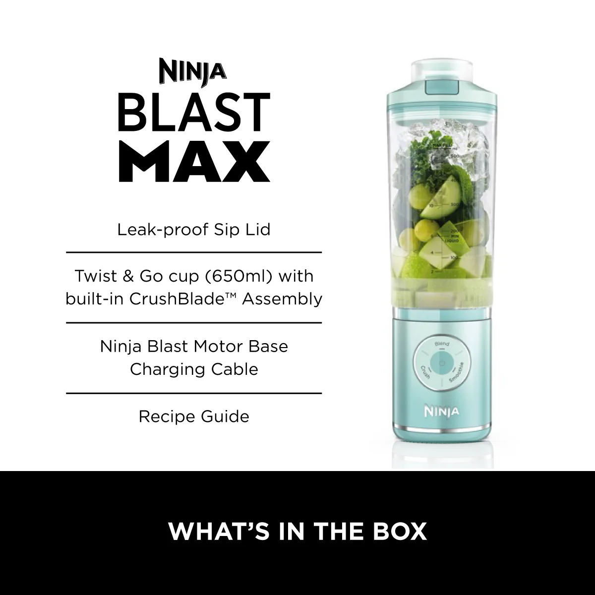 Ninja BC251SM | BC251 Blast Max Portable Blender, 650ml, Rechargeable, Crushes Ice, lightweight, BPA Free
