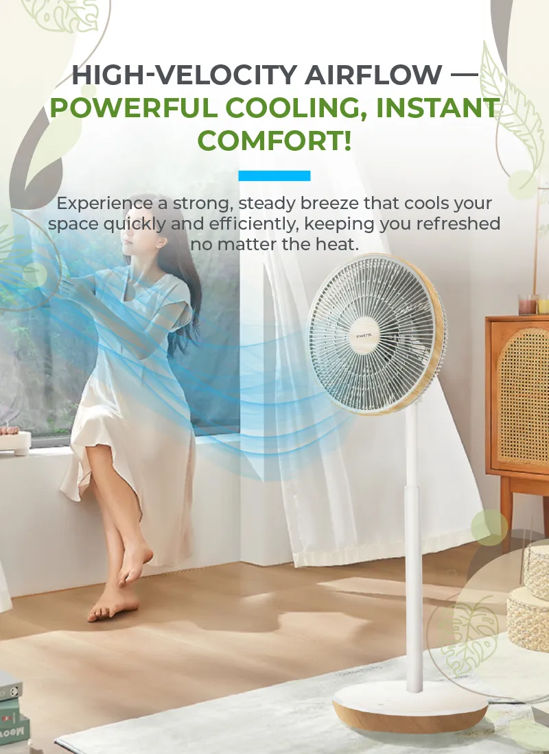 Mistral MHV1424DRW-G DC High Velocity Stand Fan with WIFI & Remote 14 Inch