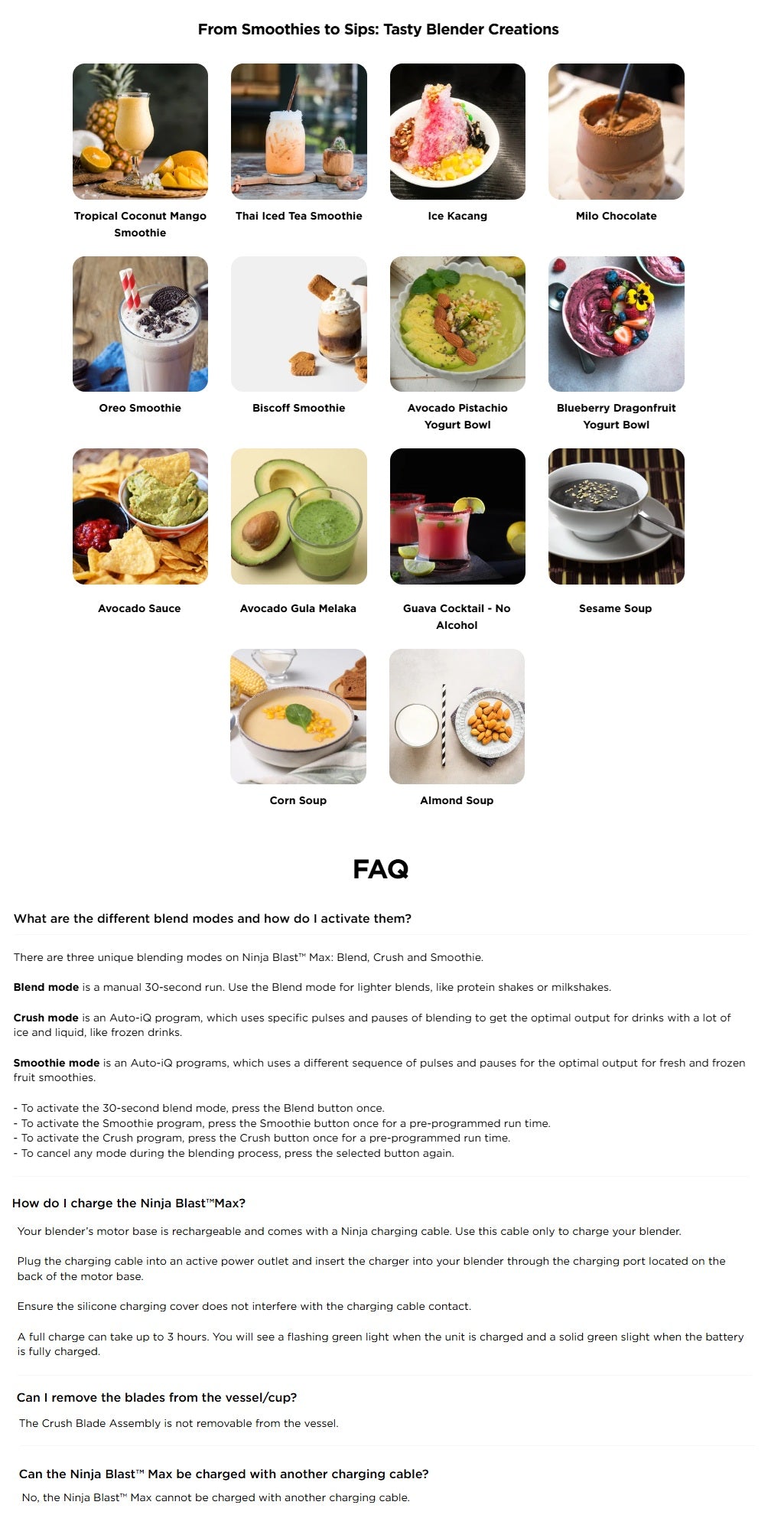 Ninja BC251SM | BC251 Blast Max Portable Blender, 650ml, Rechargeable, Crushes Ice, lightweight, BPA Free