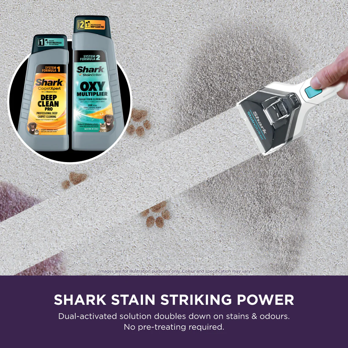 Shark PX200SMT | PX200 StainStriker Stain & Spot Vacuum Cleaner