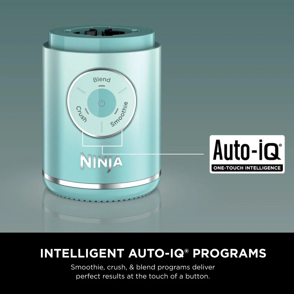 Ninja BC251SM | BC251 Blast Max Portable Blender, 650ml, Rechargeable, Crushes Ice, lightweight, BPA Free