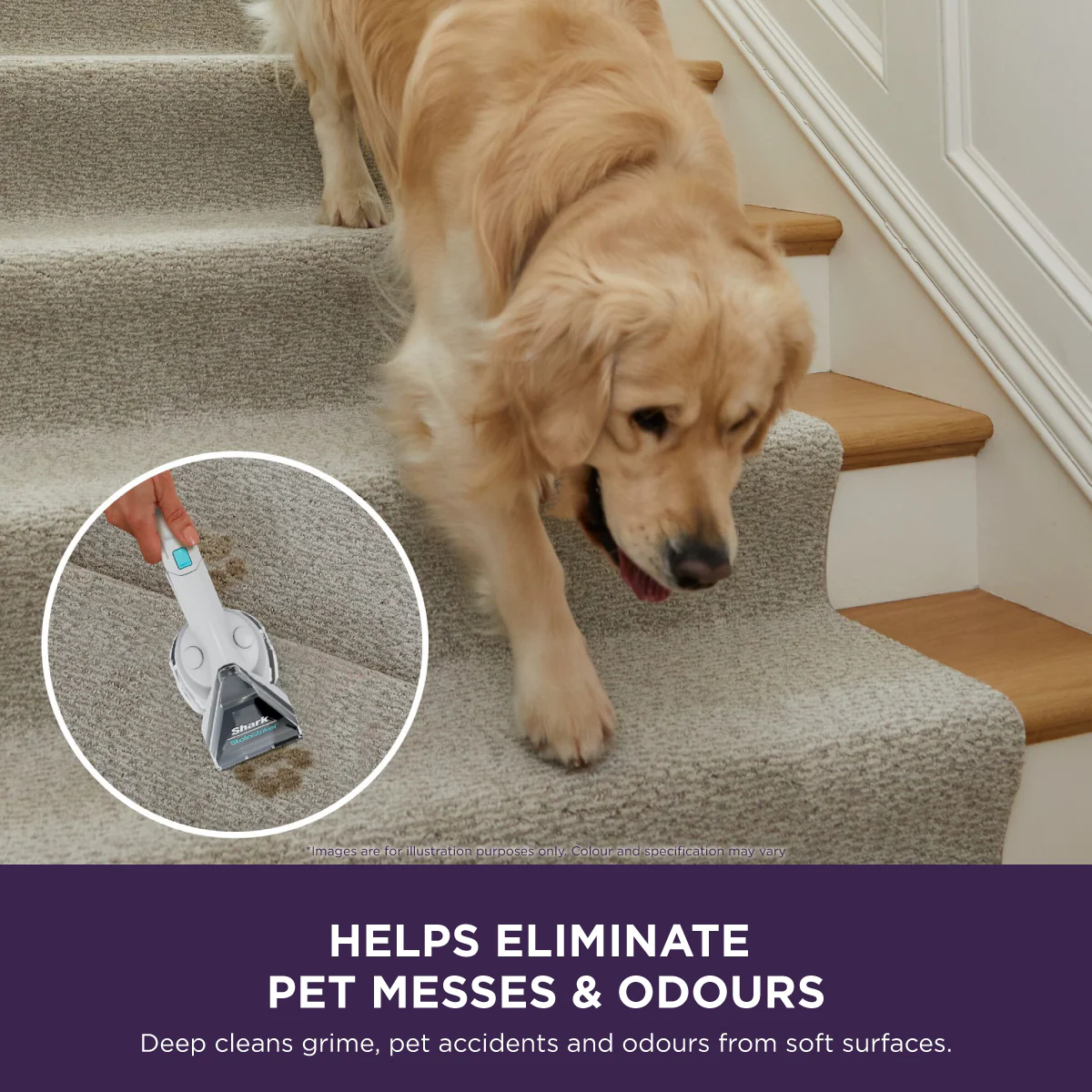 Shark PX200SMT | PX200 StainStriker Stain & Spot Vacuum Cleaner