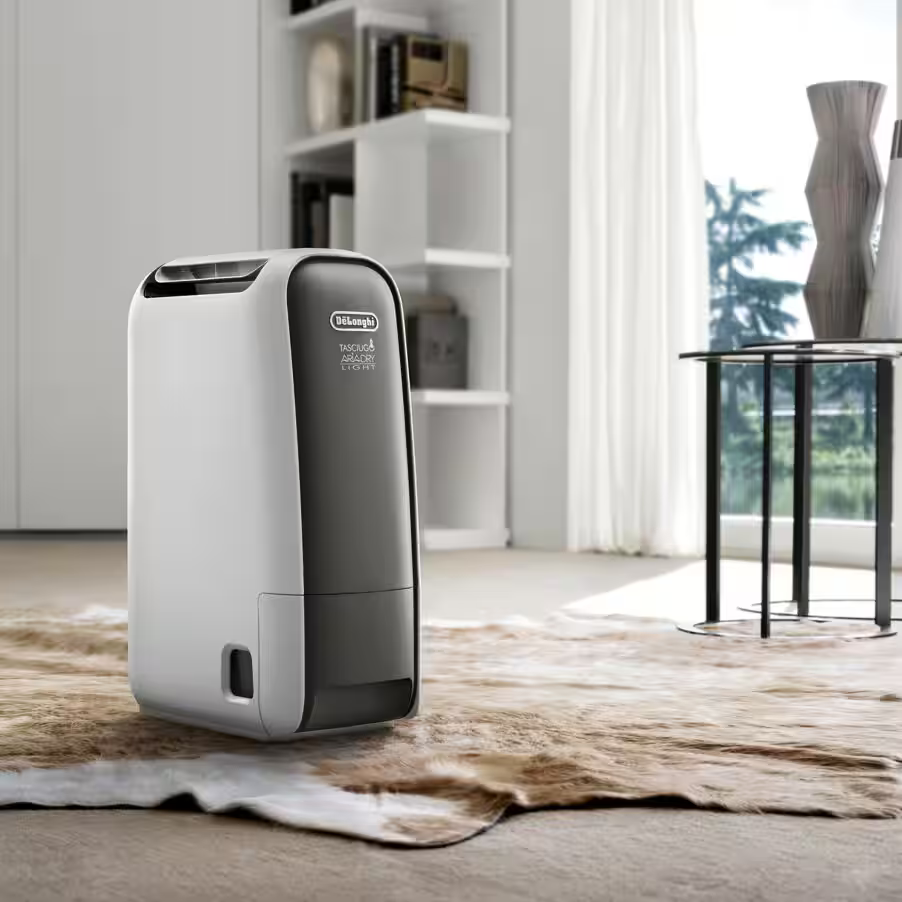Delonghi DNS65 Tasciugo AriaDry Light Dehumidifier