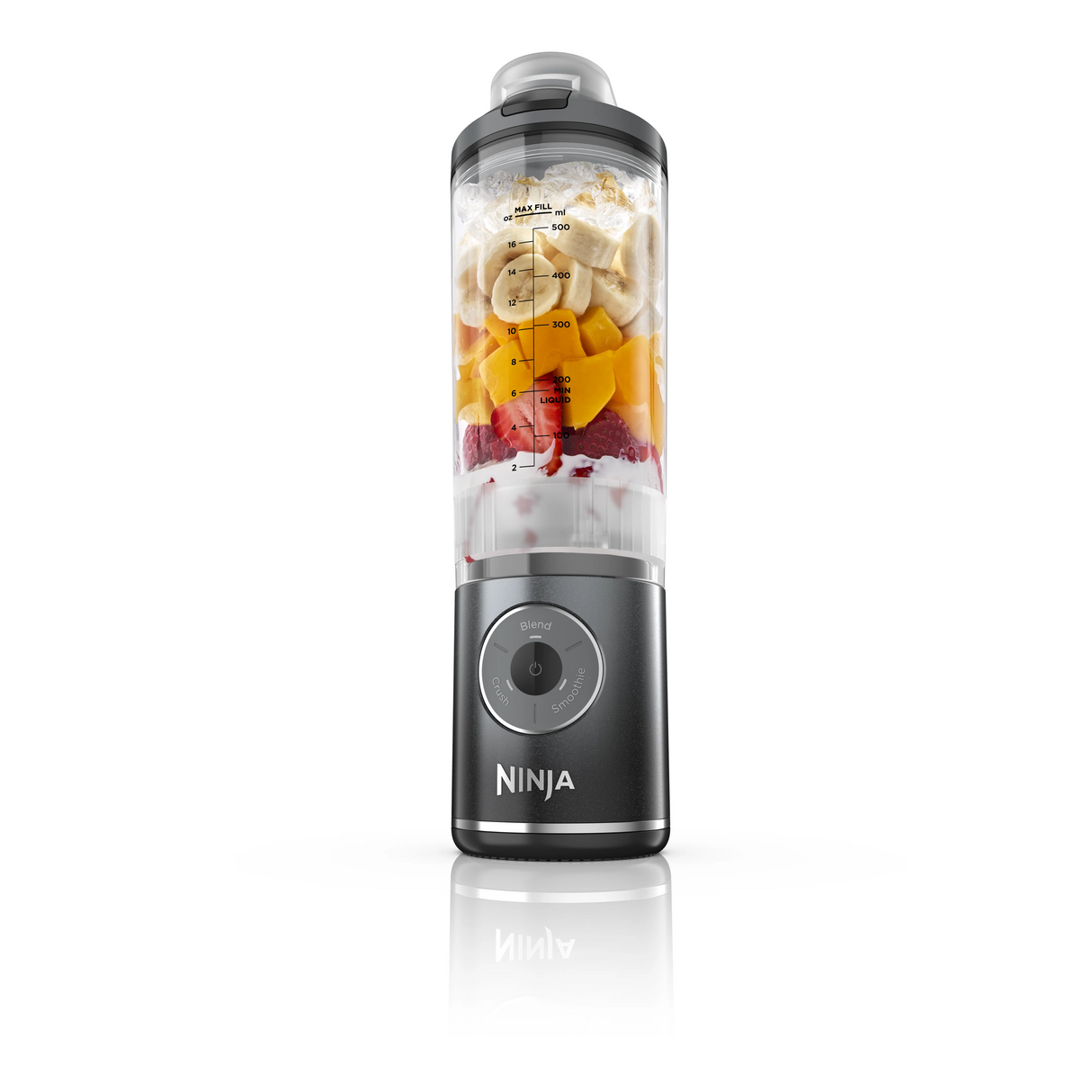 Ninja BC251SM | BC251 Blast Max Portable Blender, 650ml, Rechargeable, Crushes Ice, lightweight, BPA Free