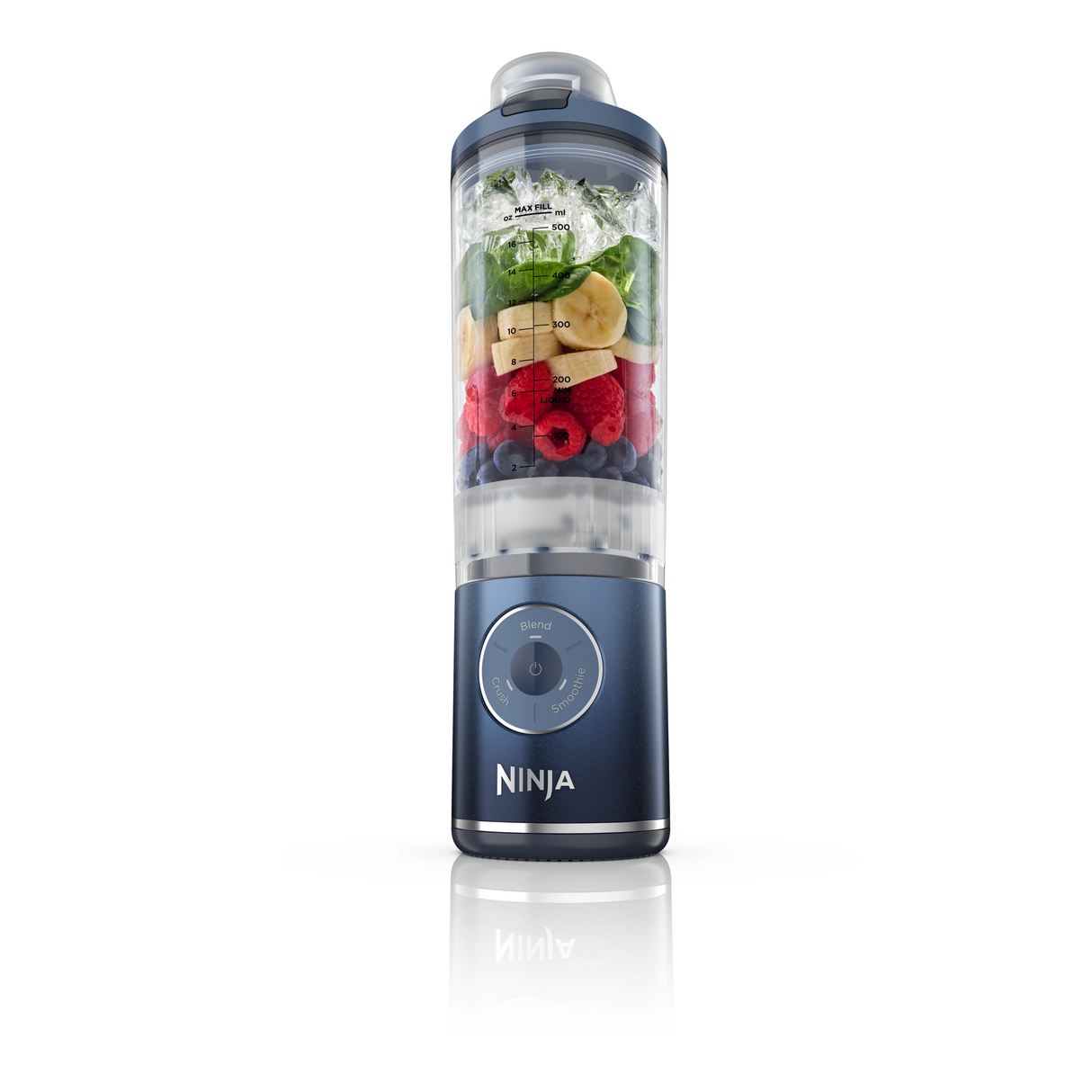 Ninja BC251SM | BC251 Blast Max Portable Blender, 650ml, Rechargeable, Crushes Ice, lightweight, BPA Free