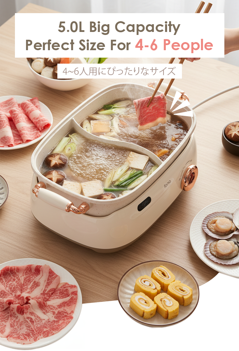 Iona GLS201 Removable Dual Flavor Tabletop HotPot 5L
