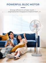 Mistral MSF1653D-WG DC Stand Fan 16 Inch