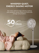 Mistral MHV1279DR DC High Velocity Stand Fan with Remote 12 Inch