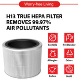 Toshiba CAF-A400SG(H) Air Purifier 22m²