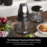 Ninja QB1004SM Master Prep Food Processor 500W