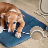 Philips AC3360/11 PureProtect Pet 3000 Series Smart Pet Purifier