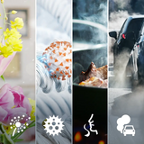 Philips AC0520/10 Air Purifier- Pureprotect Go 500 Series