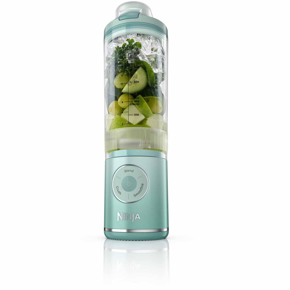 Ninja BC251SM | BC251 Blast Max Portable Blender, 650ml, Rechargeable, Crushes Ice, lightweight, BPA Free